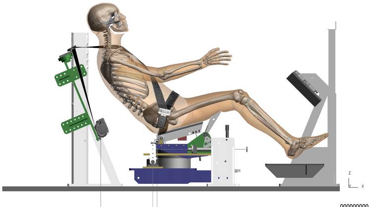 La imagen muestra un esqueleto humano en una máquina de ejercicios de tipo reclinado.