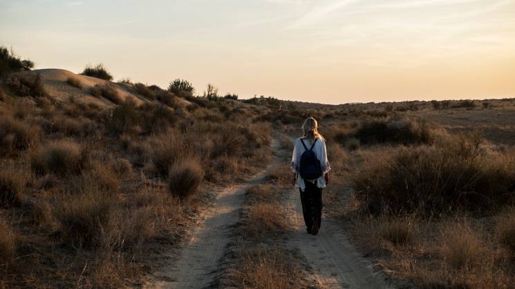 Una persona camina por un sendero desierto rodeado de vegetación seca al atardecer.