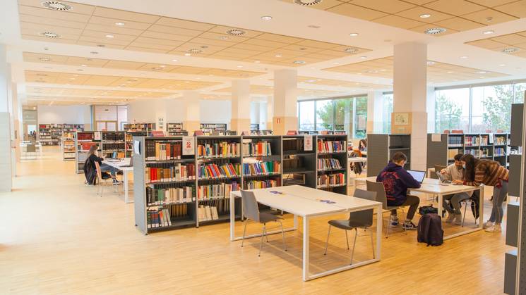 Biblioteca (25-11-2020)_7.jpeg