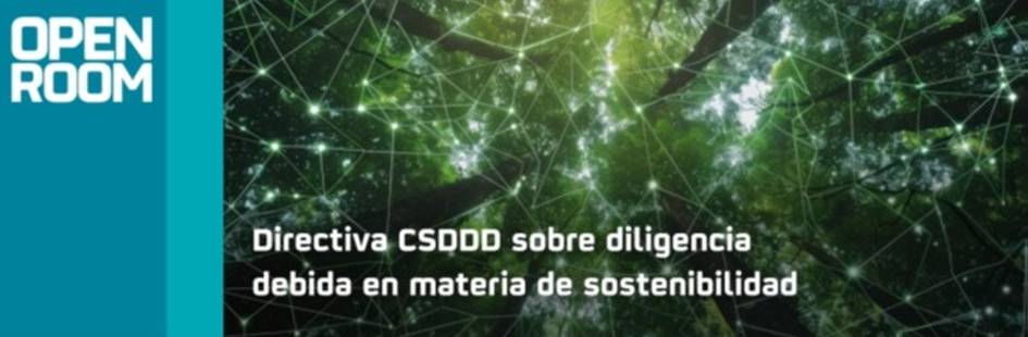 An image featuring a green geometric network pattern with the text 'Directiva CSDDD sobre diligencia debida en materia de sostenibilidad' over it.