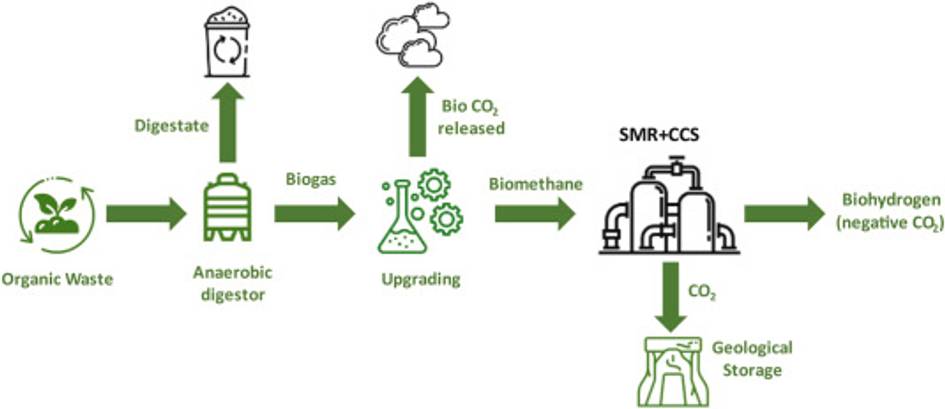 Diagrama que ilustra el proceso de conversión de residuos orgánicos en biogás y biometanol, y la gestión de emisiones de CO2.