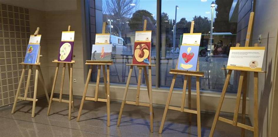 Una exposición de cuadros en caballetes dentro de un espacio iluminado.