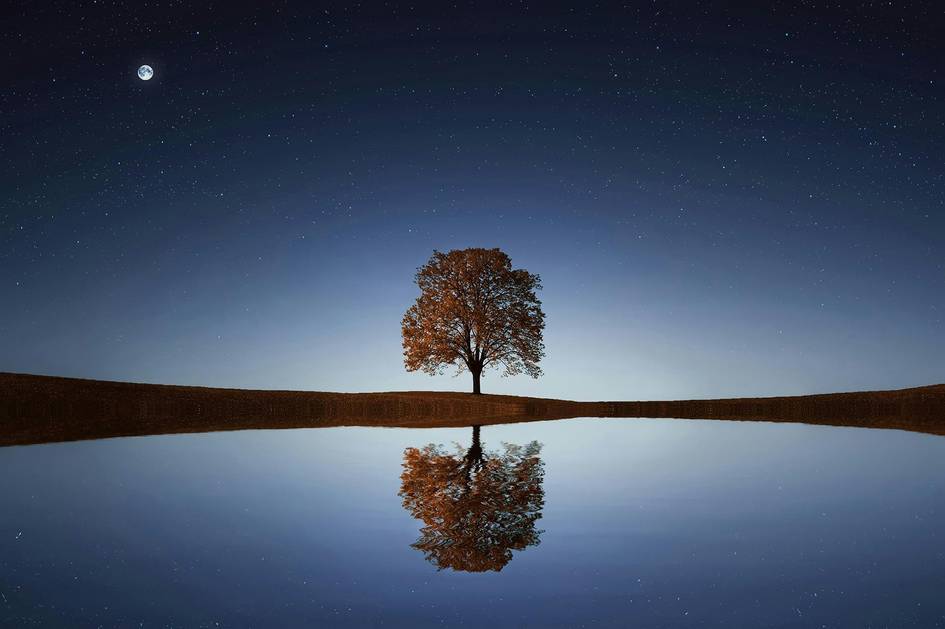 Un frondoso árbol solitario se refleja en un tranquilo lago bajo un cielo estrellado.