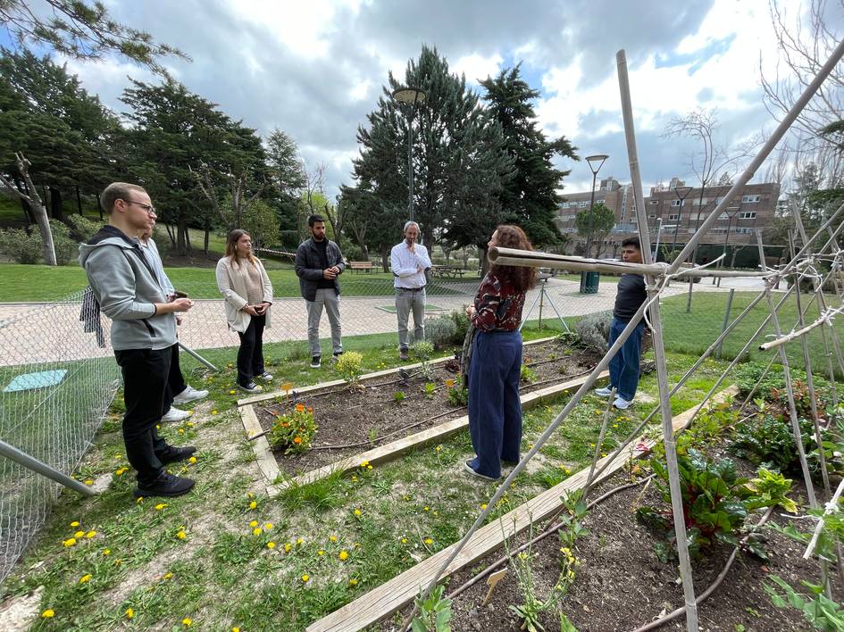 Un grupo de personas observa y discute en un jardín comunitario.