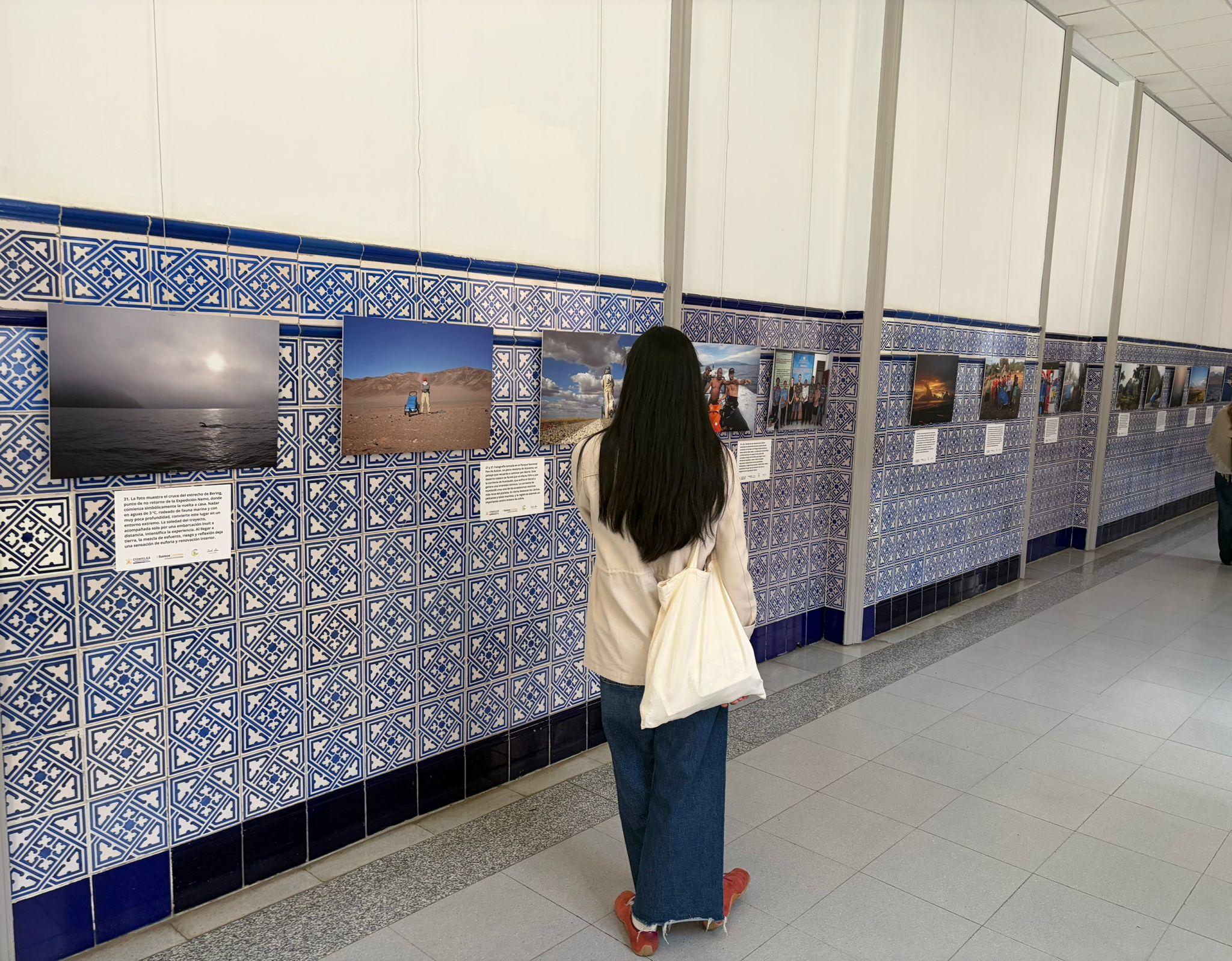 Una persona observa una exposición fotográfica en una pared decorada con azulejos.