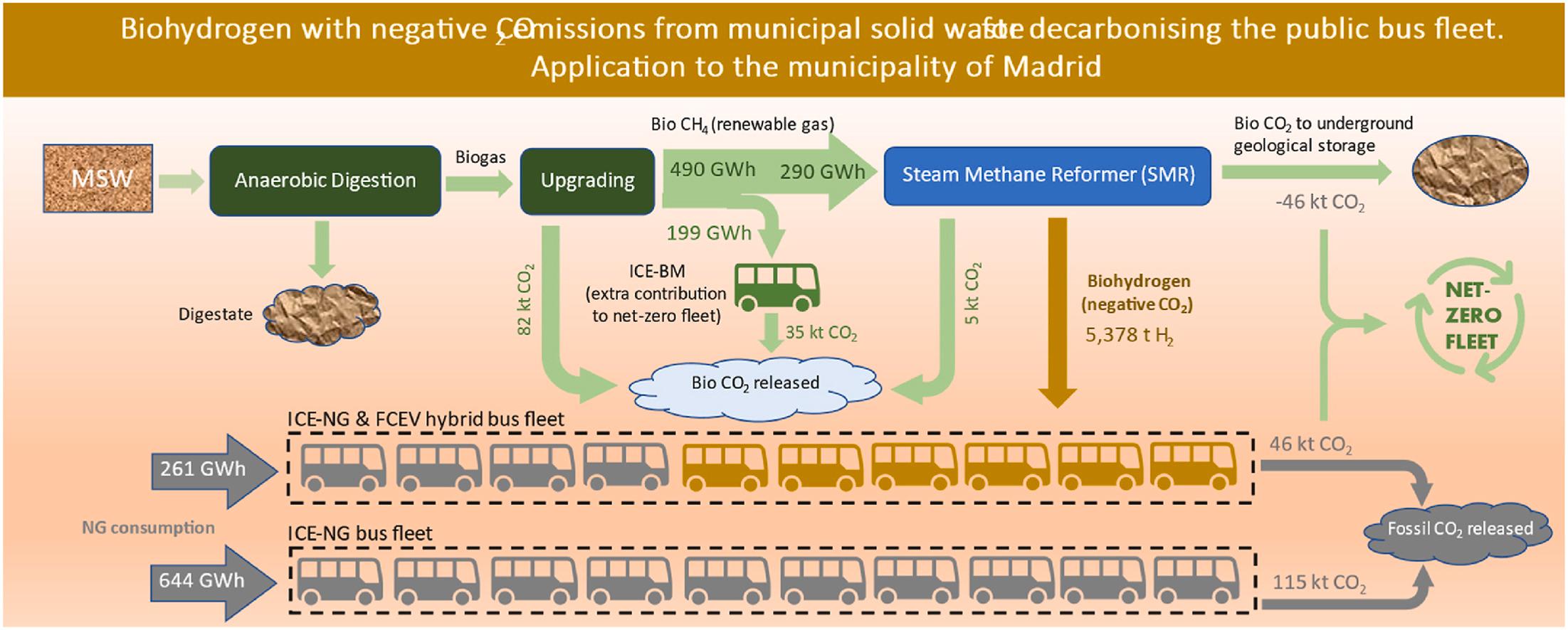 An infographic illustrating the process of producing biohydrogen with negative emissions by utilizing municipal solid waste in Madrid's public bus fleet.