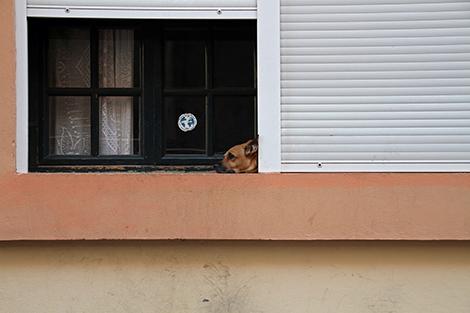 PSICOLOGIA_ENCERRAADO_EN_CASA_COMILLAS_CIHS_INTROjpg.jpeg
