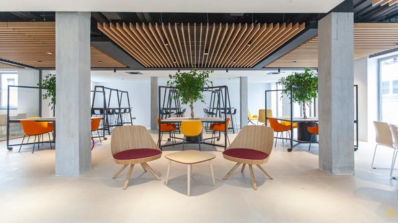 Espacio de trabajo moderno con sillas de colores y plantas decorativas.