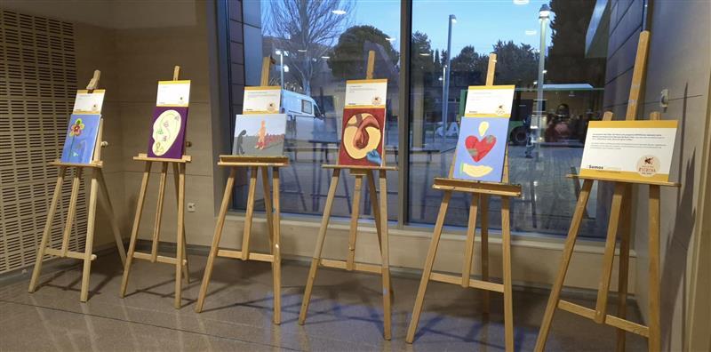 Una exposición de cuadros en caballetes dentro de un espacio iluminado.
