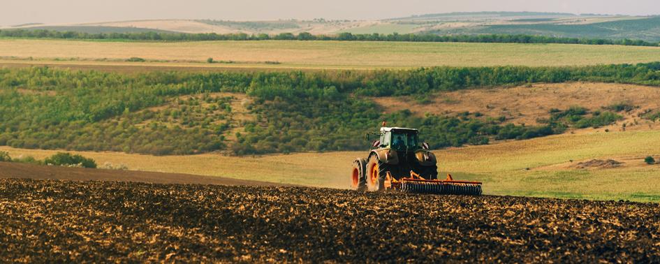 El IUEM participa en un proyecto europeo sobre seguridad agrícola