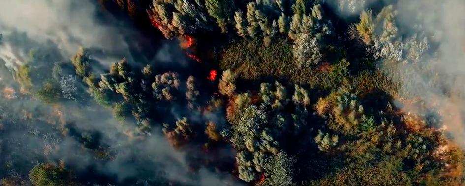La Cátedra de Catástrofes - Fundación AON España ha hecho una investigación sobre los incendios forestales en Galicia