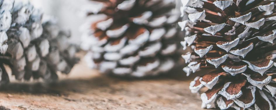 Cinco ideas para hacer tu Navidad más sostenible