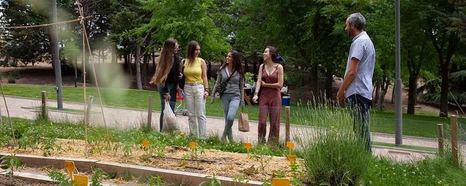 Un pícnic junto al huerto eco didáctico de Cantoblanco sirvió de cierre al segundo curso de vida del proyecto