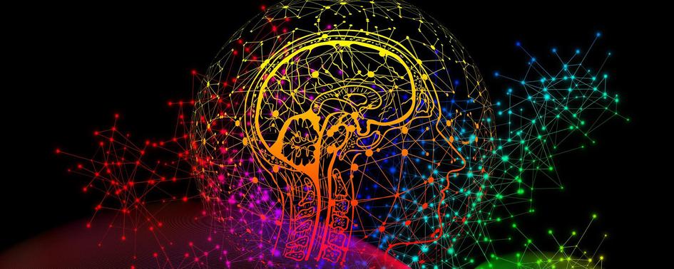 Semana de la Ciencia y la Innovación 2021