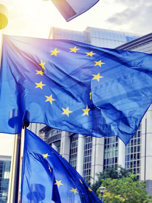 Una imagen de varias banderas de la Unión Europea frente a un moderno edificio.