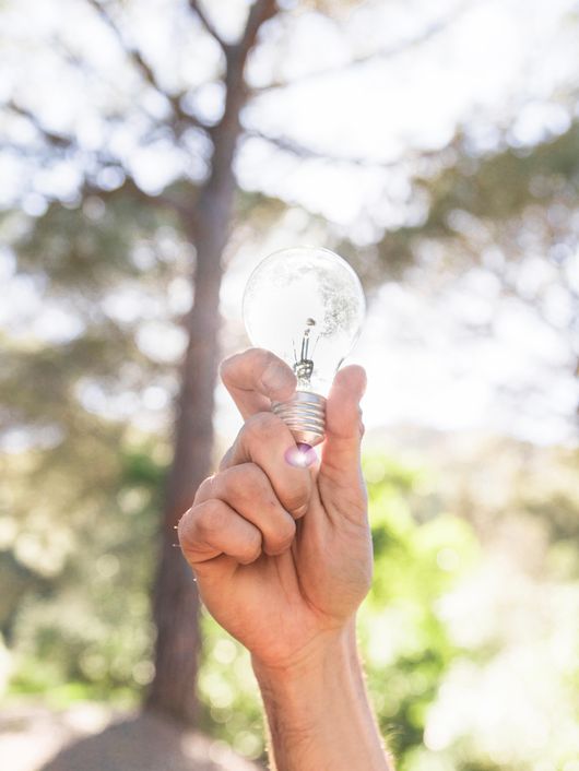 Una mano sostiene una bombilla de luz en un fondo natural.
