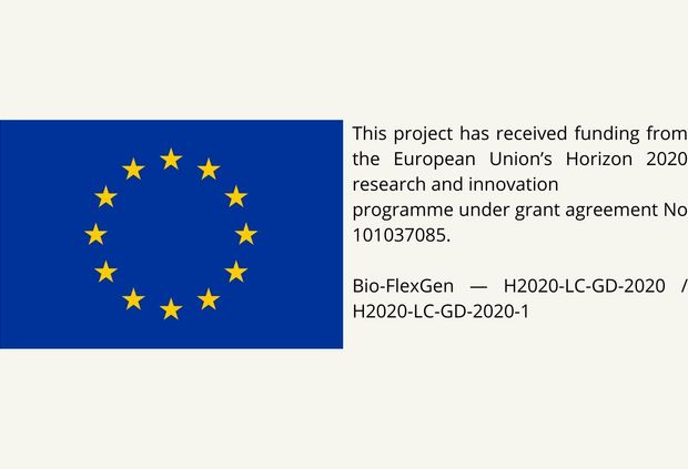 La imagen muestra la bandera de la Unión Europea acompañada de un texto sobre financiamiento de un proyecto de investigación.
