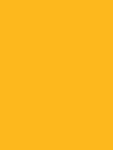 color-corporativo-1.png