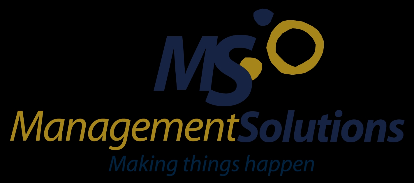 Logo de Management Solutions que representa su enfoque hacia la gestión empresarial.