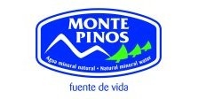 Logo montepinos