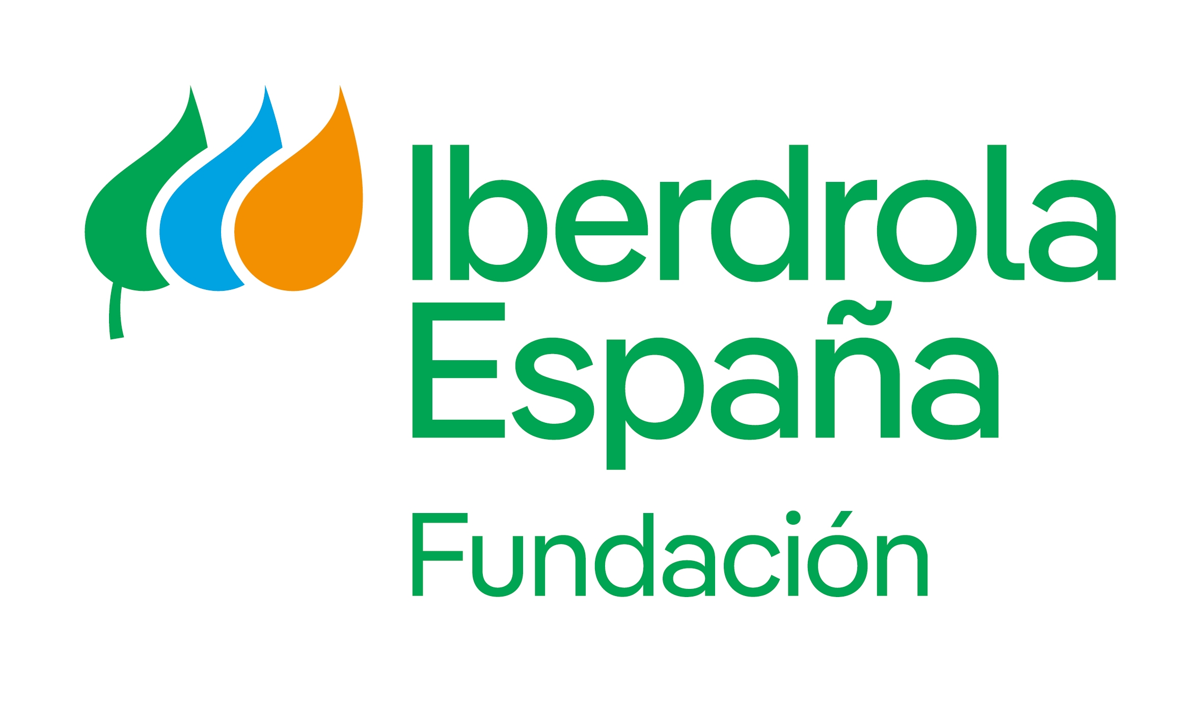 Logo Fundación Iberdrola.jpeg