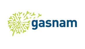 El logotipo de Gasnam, que combina un diente de león estilizado con el nombre de la organización.