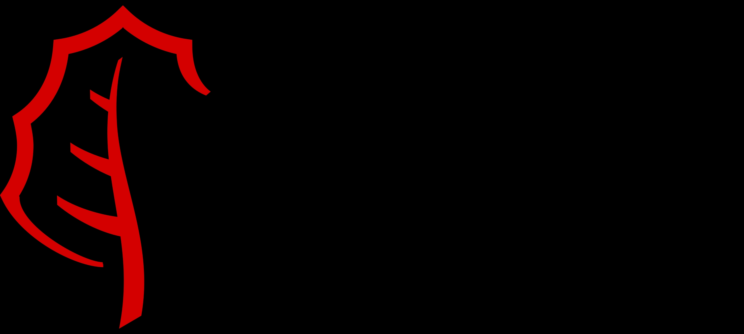 pngwing.com.png