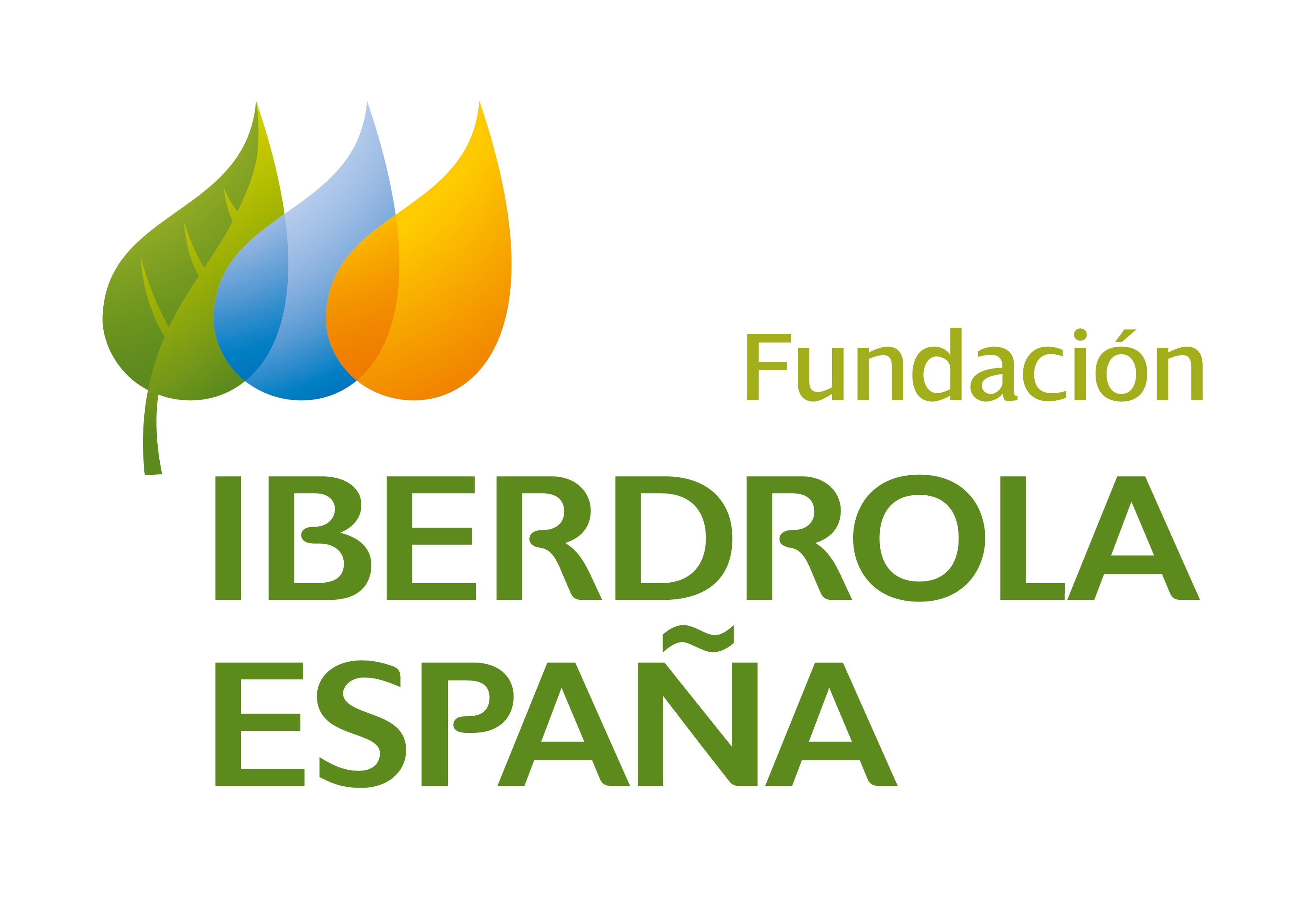 Iberdrola España Funfación