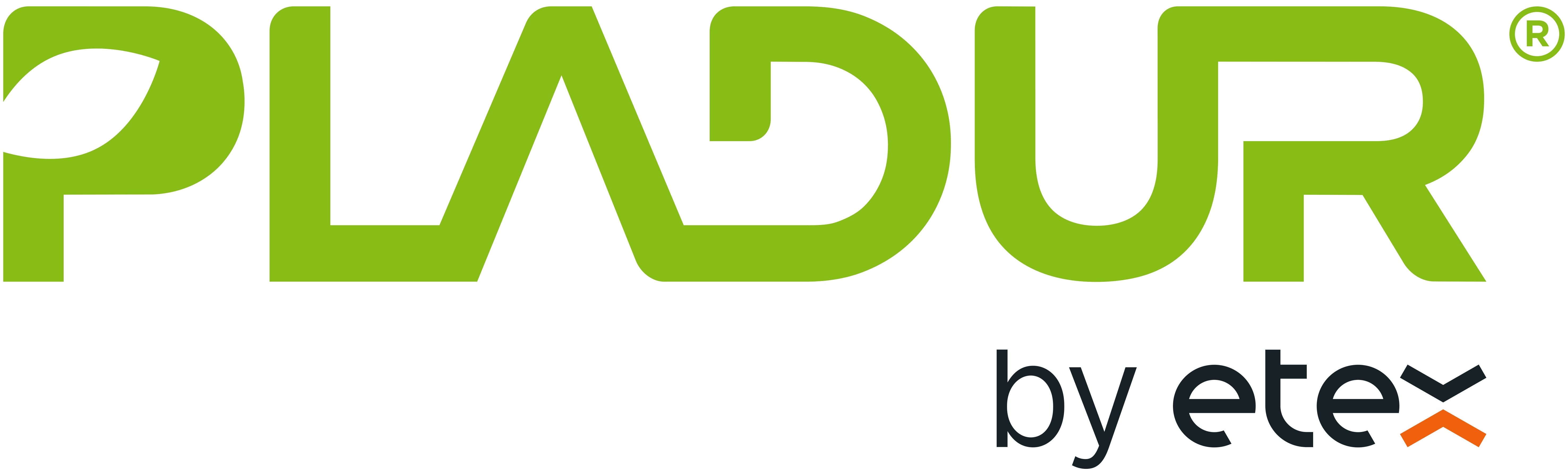 Logotipo de PLADUR, una marca de Etex.
