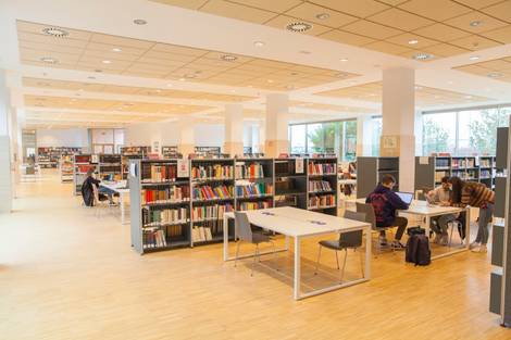 Biblioteca (25-11-2020)_7.jpeg