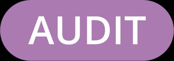 AUDIT_Pastilla_Color_RGB.png