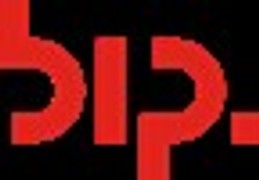 BIP Consulting.jpeg